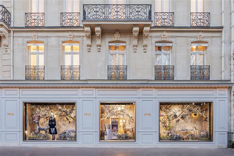 Dior montaigne windows